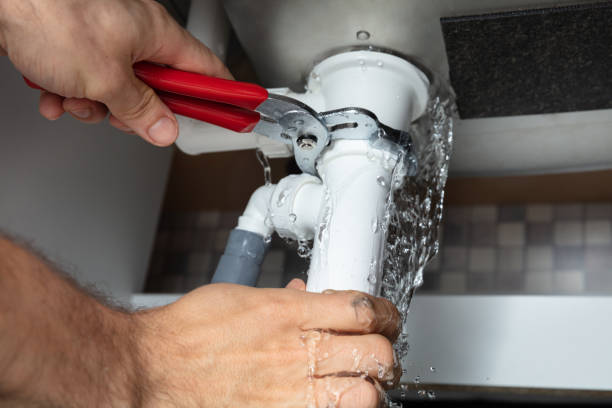 Best Water damage mitigation services  in Rion Center, MA