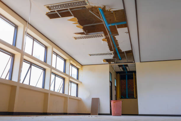 Best Water damage restoration near me  in Rion Center, MA
