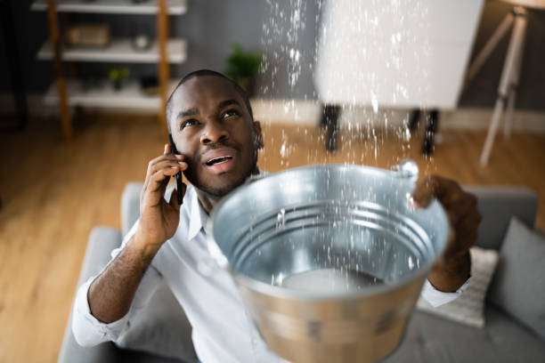 Best Water damage cleanup near me  in Rion Center, MA