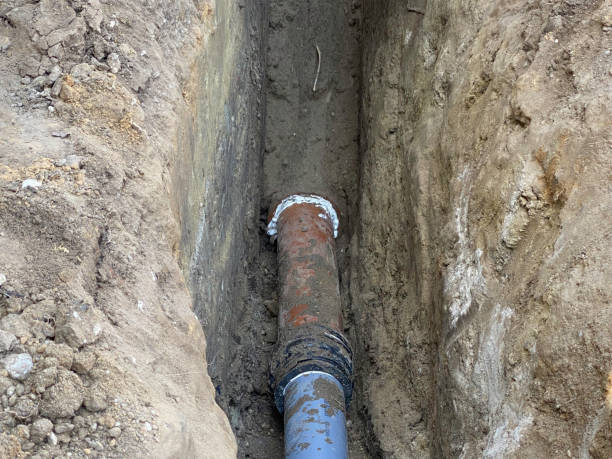 Best Flood restoration services  in Rion Center, MA