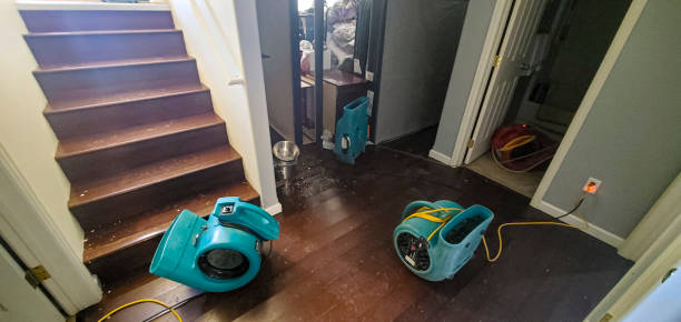  Rion Center, MA Water damage restoration Pros
