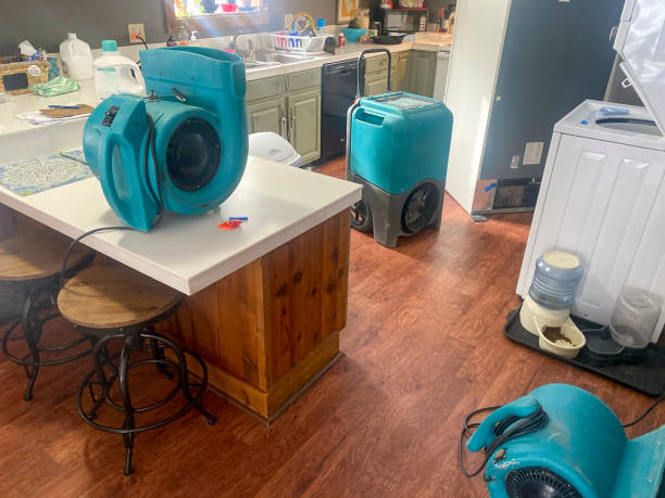Best Ceiling water damage repair  in Rion Center, MA