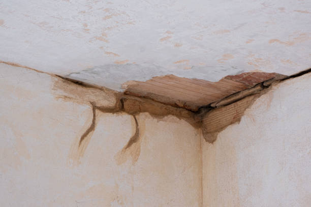 Best Flooded house restoration  in Rion Center, MA