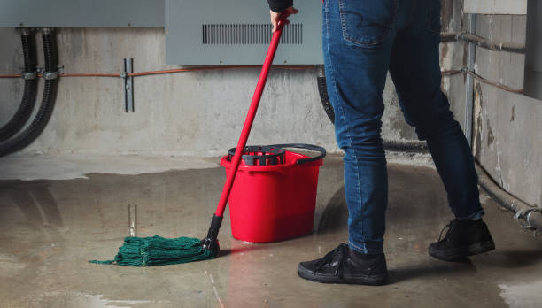 Best Flood restoration services  in Rion Center, MA