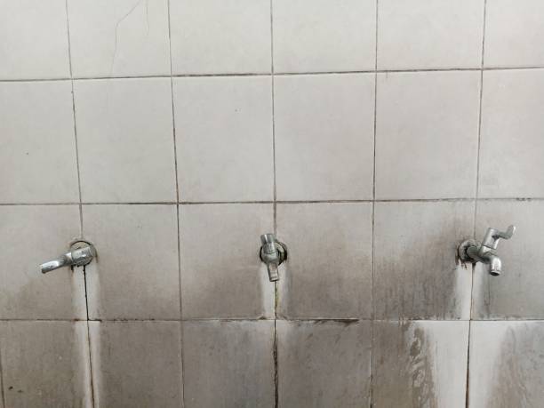 Best Water damage contractors near me  in Rion Center, MA