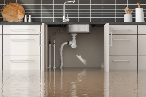 Best Local water damage restoration  in Rion Center, MA