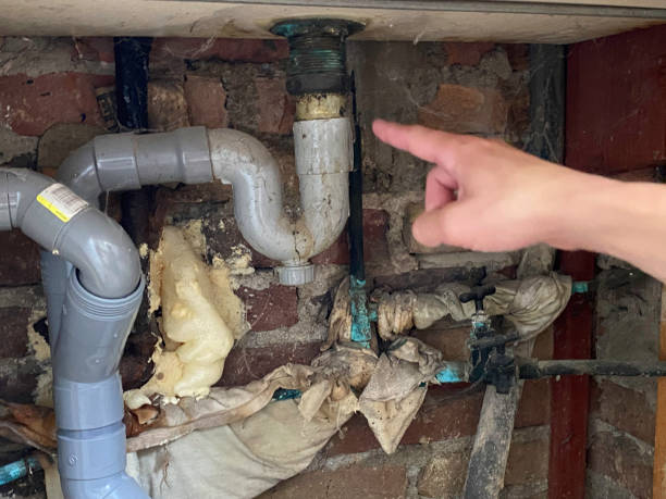Best Water damage restoration cost  in Rion Center, MA