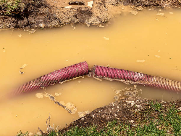 Best Water damage cleanup near me  in Rion Center, MA